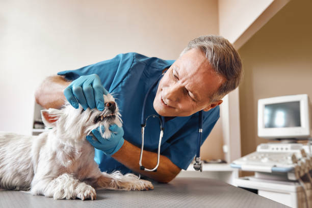 Best 24-Hour Emergency Dental Care in Sellersburg, IN